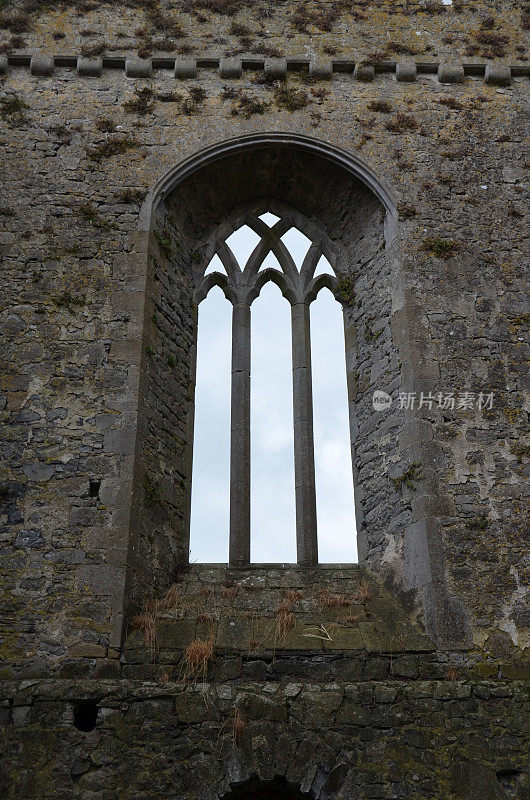 阿萨塞尔修道院中世纪遗址Co Tipperary爱尔兰窗户和石制品